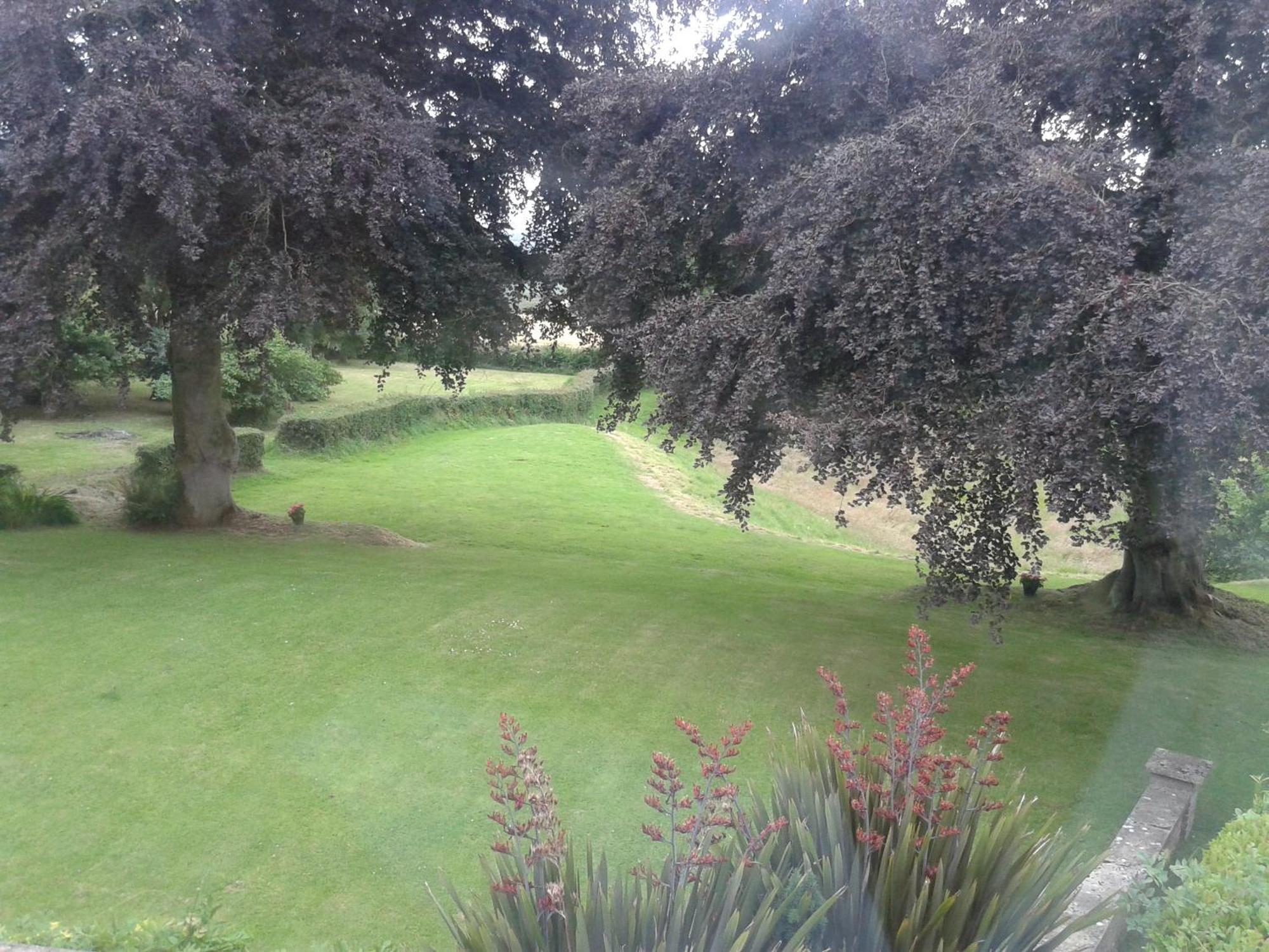 Buckley Farmhouse B & B Sidmouth Zimmer foto