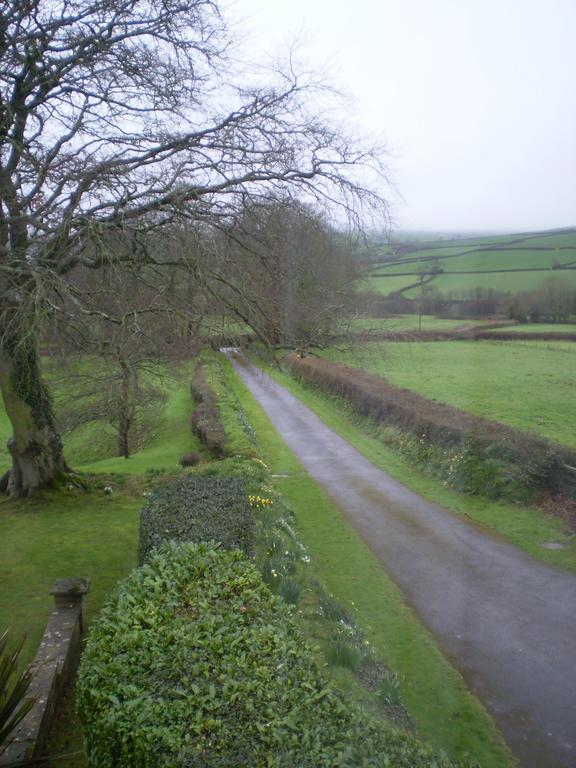 Buckley Farmhouse B & B Sidmouth Exterior foto