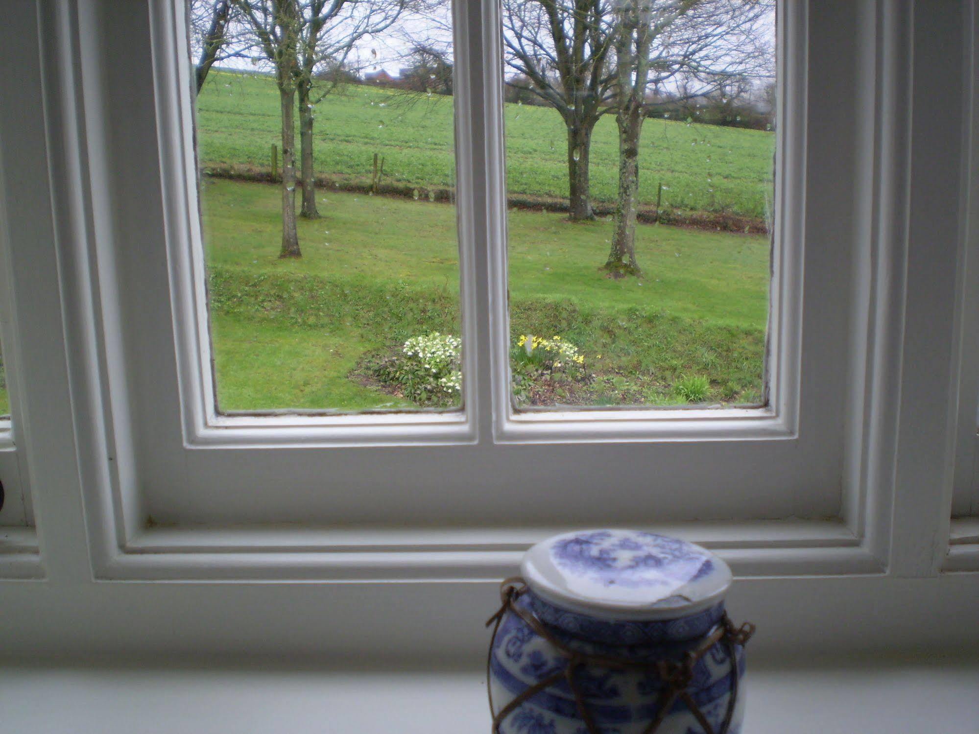 Buckley Farmhouse B & B Sidmouth Exterior foto