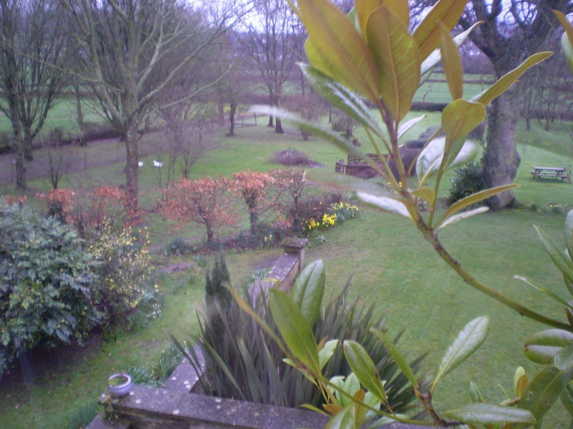 Buckley Farmhouse B & B Sidmouth Exterior foto
